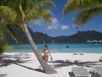 Bora Bora island, Le Meridien beach, palm tree