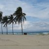 Cuba, Boca Ciega beach, palms