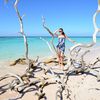 Cuba, Cayo Jutias island, beach, snags