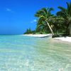 Cuba, Cayo Levisa island, palm over water