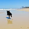 Gold Coast, Main Beach