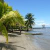 Guatemala, Rio Dulce (Livingston), Playa Quehueche beach, palms