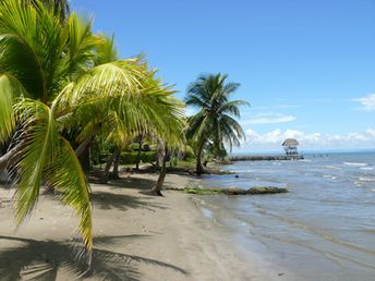 Guatemala, Rio Dulce (Livingston), Playa Quehueche beach, palms