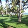 Mariana Islands, Guam, Asan beach, grass