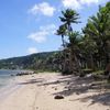 Mariana Islands, Guam, Asan beach, palms