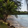 Марианские острова, Гуам, Пляж Габ Габ, пальма