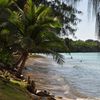 Mariana Islands, Guam, Gab Gab beach, palm