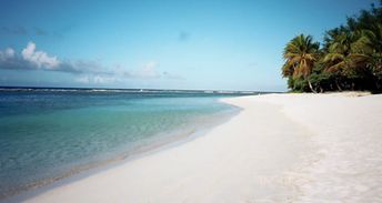 Mariana Islands, Rota, Teteto beach, wet sand