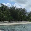 Mariana Islands, Saipan, Managaha beach, palms