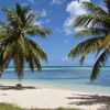 Mariana Islands, Saipan, Micro Beach, palms