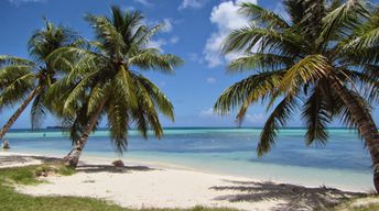 Mariana Islands, Saipan, Micro Beach, palms