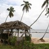 Тонга, Эуа, Пляж Туфувай, пальмы