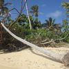 Tonga, Haʻapai, Lifuka island, beach