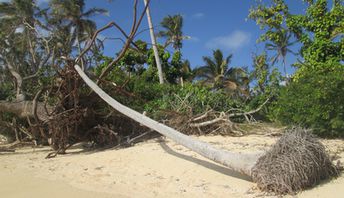 Tonga, Haʻapai, Lifuka island, beach