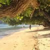 Tonga, Haʻapai, Lifuka island, beach, trees