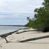 Tonga, Ha'apai, Uiha island, beach, broken palms