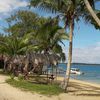 Tonga, Tongatapu, Pangaimotu beach, palms