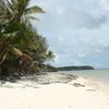 Tonga, Vava'u, Euakafa, beach, palms