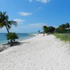 USA, Florida Keys, Marathon, Sombrero beach, palm tree