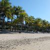 Whitsunday Coast, Hamilton, Catseye beach, palms