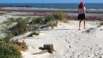 Australia, Adelaide, Semaphore beach, dune