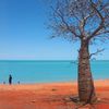 Australia, Broome, Town Beach, baobab