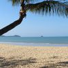 Australia, Cairns, Kewarra beach, palm