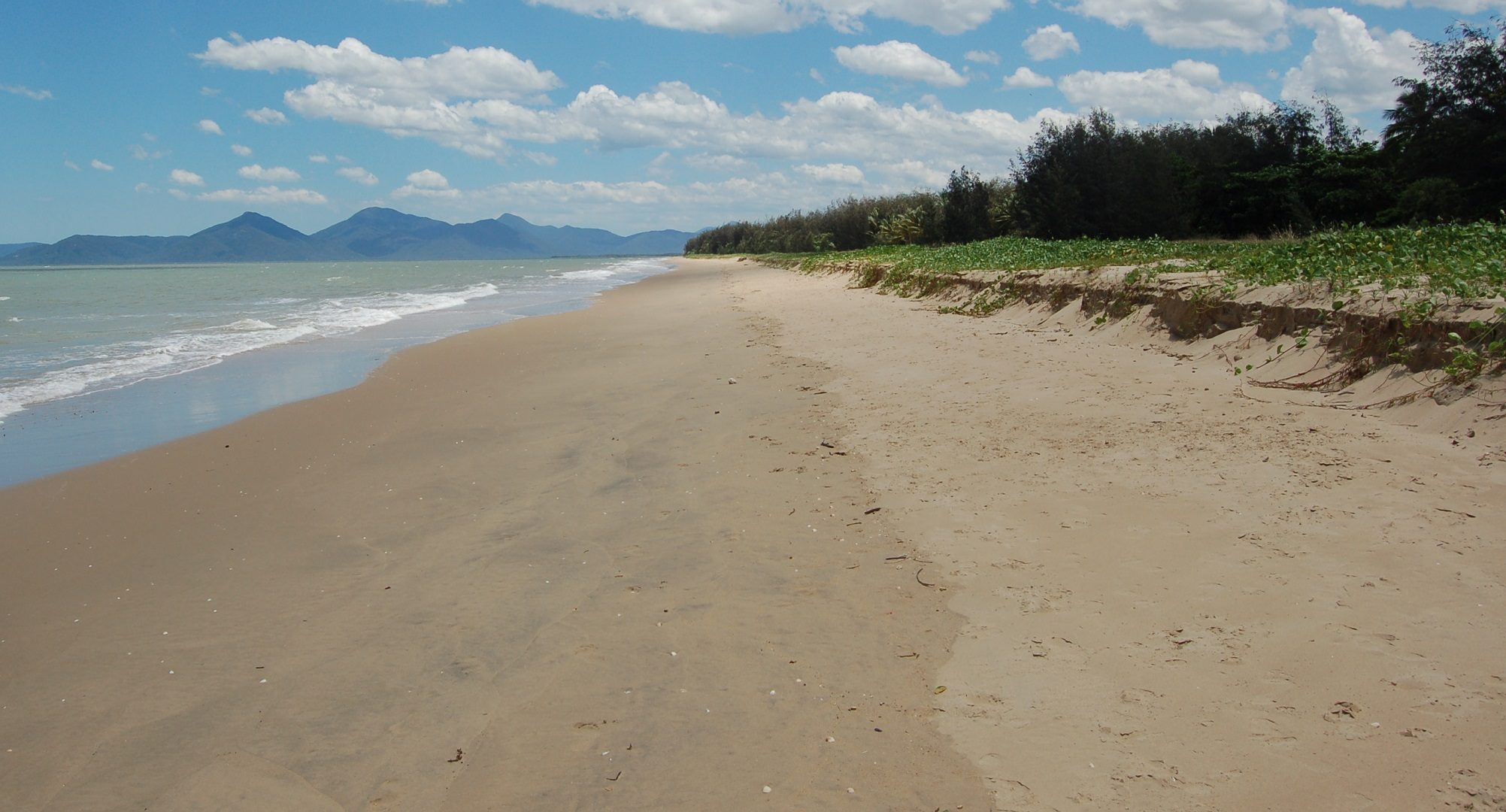 Yorkeys Knob beach, Cairns, Australia Ultimate guide (September 2024)