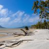 Australia, Cooktown, Elim Beach, trees