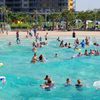 Australia, Darwin Wave Pool, palms