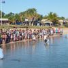 Australia, Monkey Mia beach, crowd