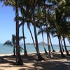 Australia, Palm Cove beach, 