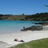 Australia, Tasmania, Boat Harbour beach, grass