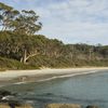 Australia, Tasmania, Fortescue Bay beach, trees