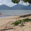 Cairns, Holloways beach, swimming net