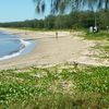 Cairns, Yorkeys Knob beach, swimming net