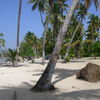 Dominican Republic, Las Galeras beach, car parking