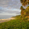 Dominican Republic, Paraiso beach, grass