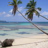 Dominican Republic, Playa La Playita beach, palms