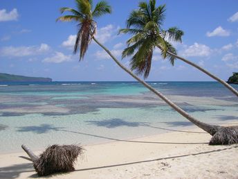 Dominican Republic, Playa La Playita beach, palms