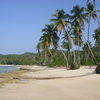 Dominican Republic, Playa Rincon beach, broken palm trees