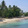 Dominican Republic, Rio San Juan beach, trees