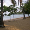 Dominican Republic, Sosua beach, trees