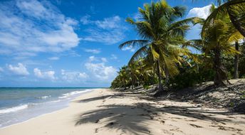 Honduras, Roatan, Camp Bay beach