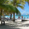 Honduras, Roatan, West Bay beach, palms