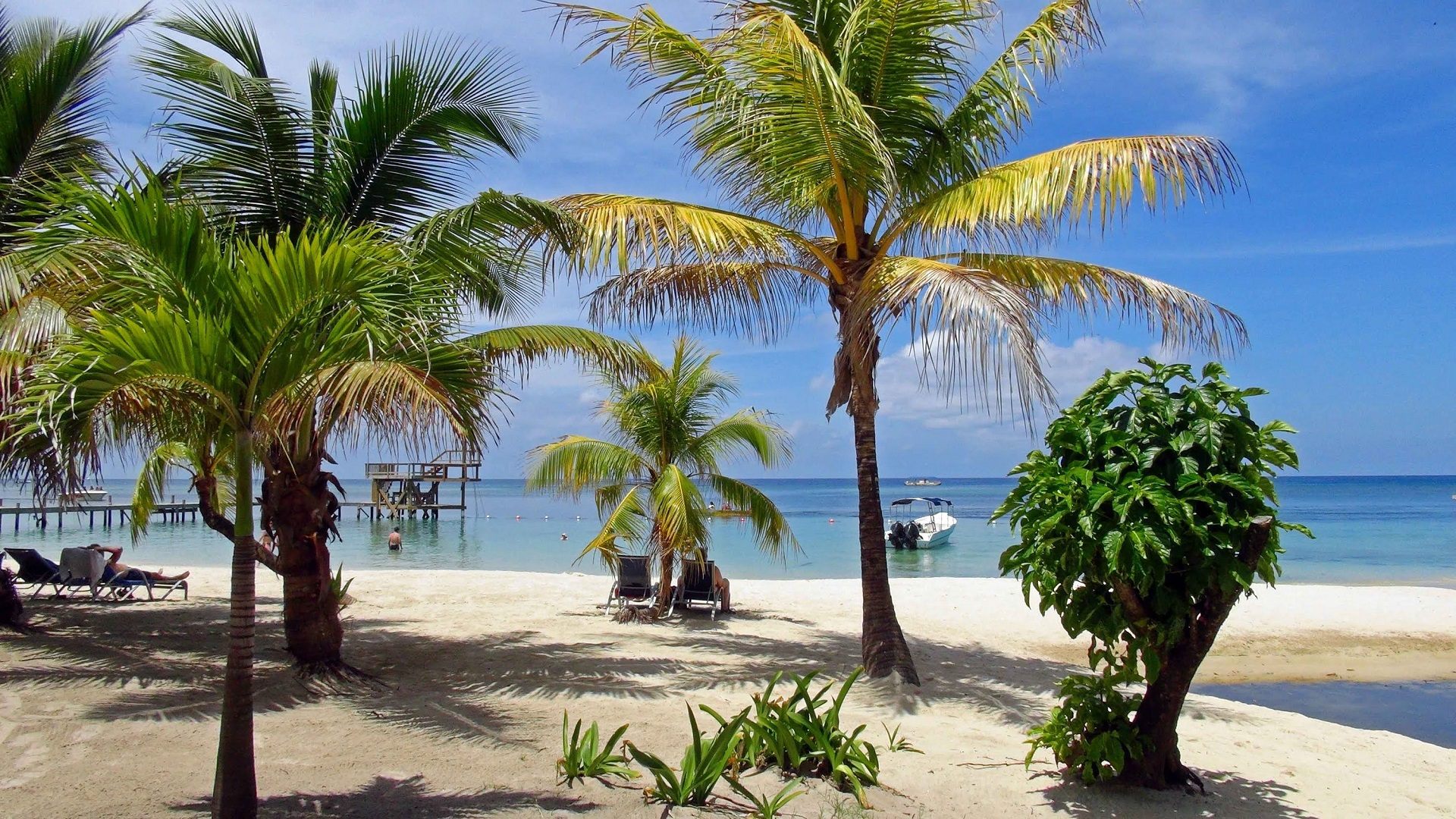 West End beach, Roatan, Honduras Ultimate guide (August 2024)