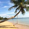 Koh Mak, Ao Kao beach, palm over water