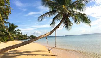 Koh Mak, Ao Kao beach, palm over water