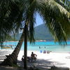 Malaysia, Perhentian Islands, PIR beach, under the palm tree