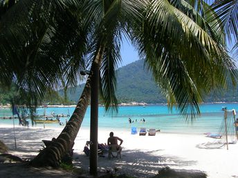 Malaysia, Perhentian Islands, PIR beach, under the palm tree